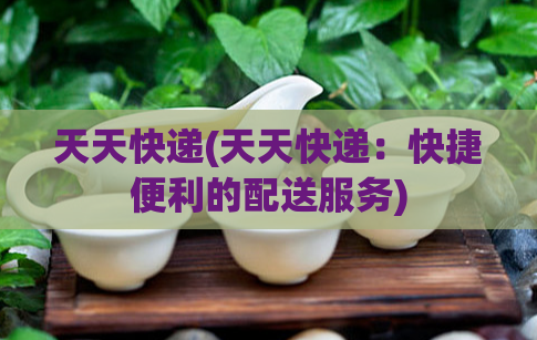 天天快递(天天快递：快捷便利的配送服务)