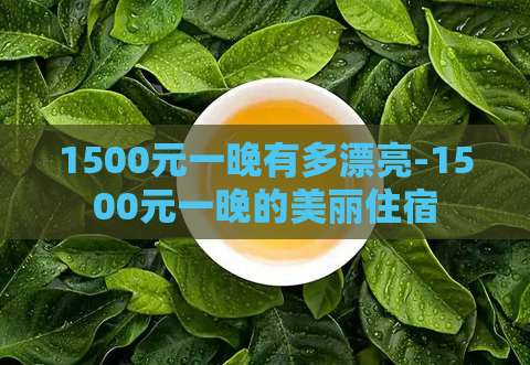 1500元一晚有多漂亮-1500元一晚的美丽住宿