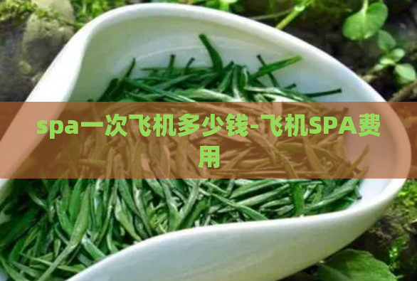 spa一次飞机多少钱-飞机SPA费用