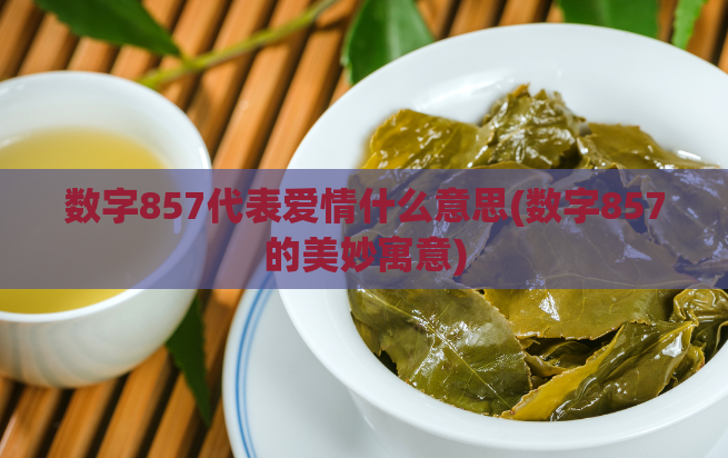 数字857代表爱情什么意思(数字857的美妙寓意)