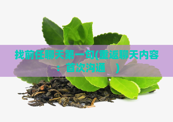 找前任聊天第一句(重返聊天内容:首次沟通 )