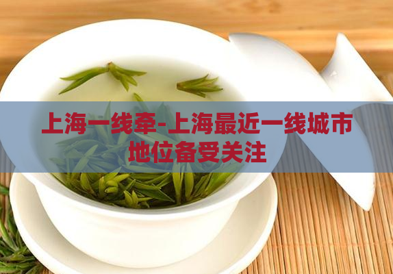 上海一线牵-上海最近一线城市地位备受关注