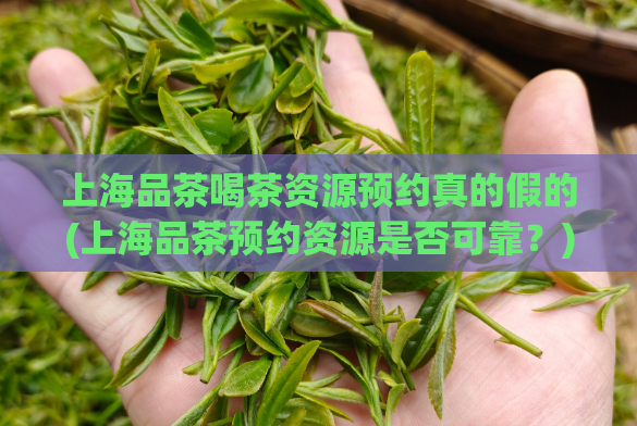 上海品茶喝茶资源预约真的假的(上海品茶预约资源是否可靠？)