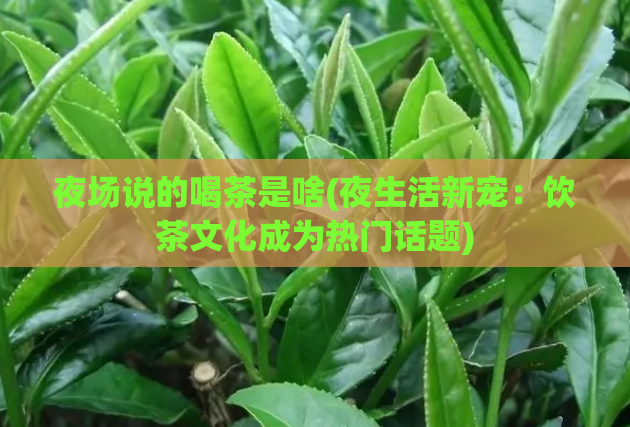 夜场说的喝茶是啥(夜生活新宠：饮茶文化成为热门话题)