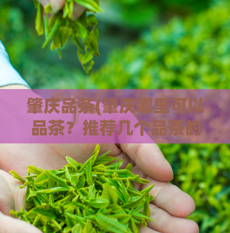 肇庆品茶(肇庆哪里可以品茶？推荐几个品茶的好去处)